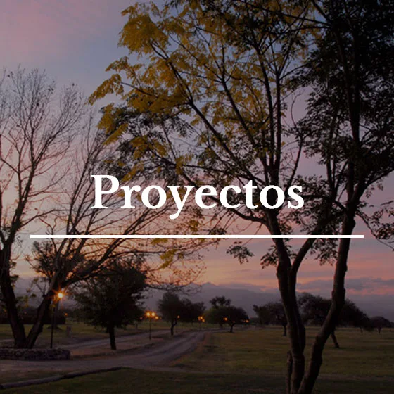 Proyectos